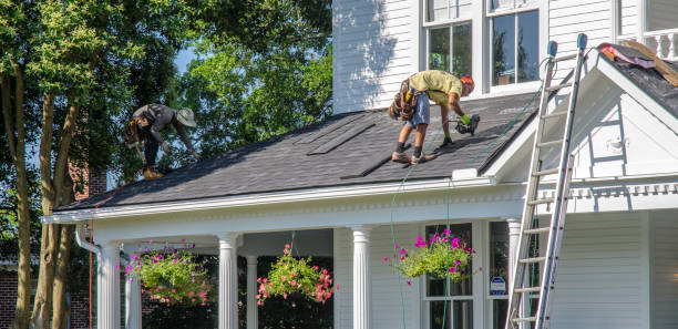 Best Roof Leak Repair  in Anderson Island, WA